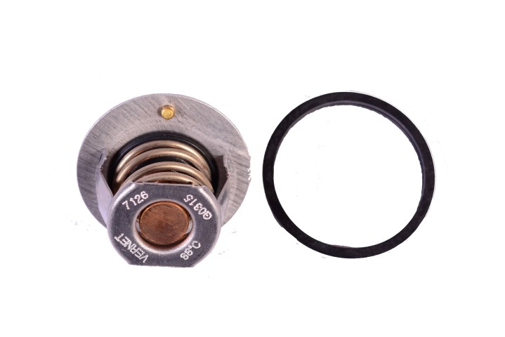 P3-10-D6 TERMOSTATO N200 N300 9052864
