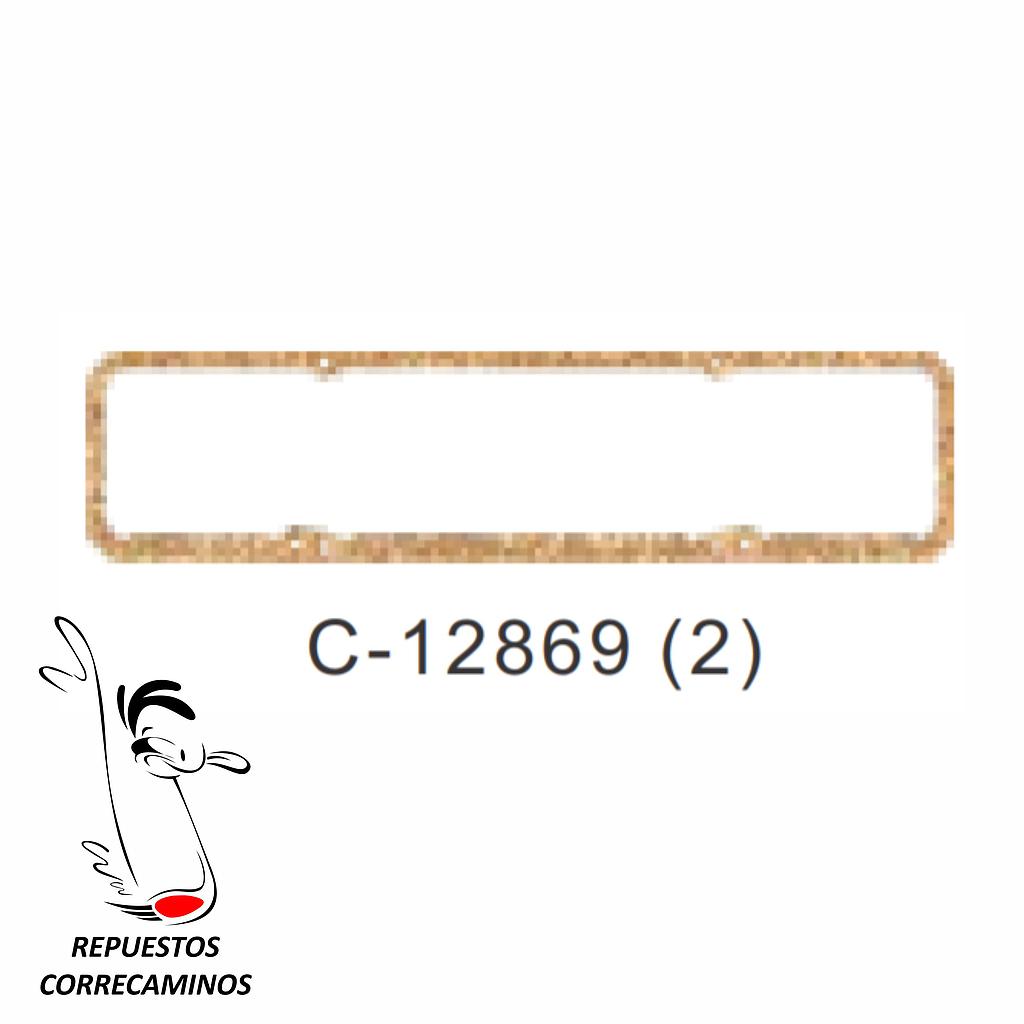 P3-14-J1 EMPAQUE C10 C30 T.V VS3082030