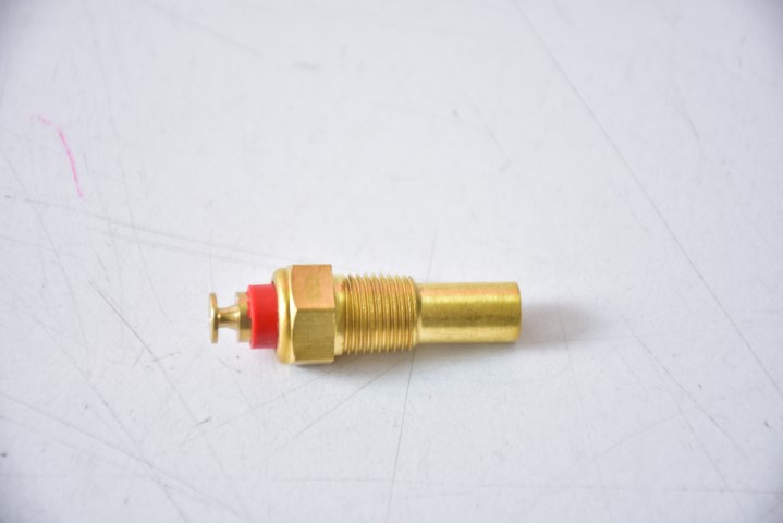 P3-4-H4.1 PERA CORSA TEMPERATURA 1/8 95025043