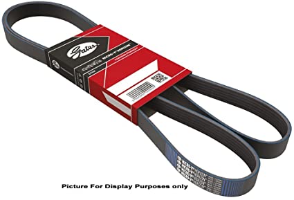 CORREA SONIC CRUZE TRACKER AMAROK (GATES) 6PK1555&lt;